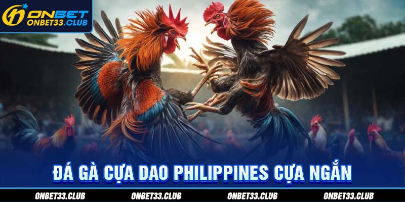 Đá Gà Cựa Dao Philippines - Hình Thức Giải Trí Hot Tại Nhà Cái ONBET Đá gà cựa dao Philippines cựa ngắn