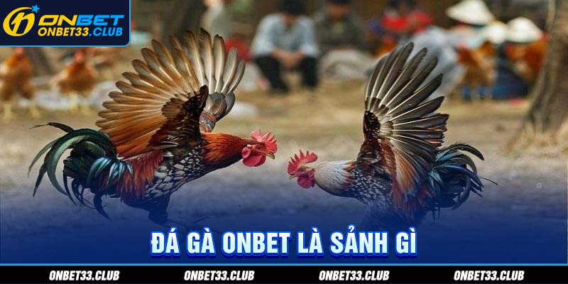 Đá gà ONBET là sảnh gì