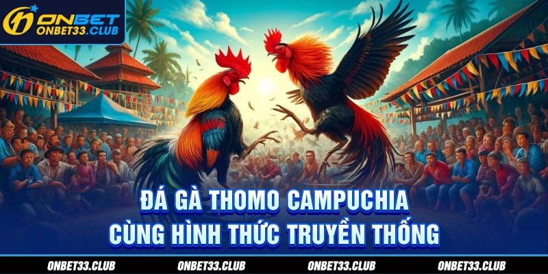 Đá Gà Thomo Campuchia - Sân Chơi Kịch Tính Thưởng Lớn Tại Onbet Đá gà Thomo Campuchia cùng hình thức truyền thống