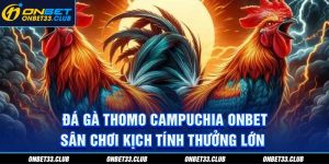 Sân Chơi Đá Gà Thomo Campuchia Kịch tính thưởng lớn cùng Onbet