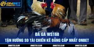 Đá gà WS168 - Tận hưởng so tài chiến kê đẳng cấp nhất Onbet