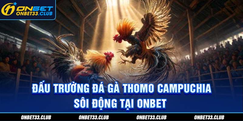 Đá Gà Thomo Campuchia - Sân Chơi Kịch Tính Thưởng Lớn Tại Onbet Đấu trường đá gà Thomo Campuchia sôi động tại ONBET