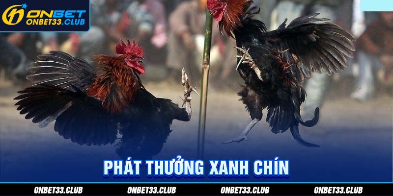 Phát thưởng xanh chín